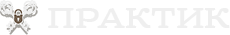 logo footer